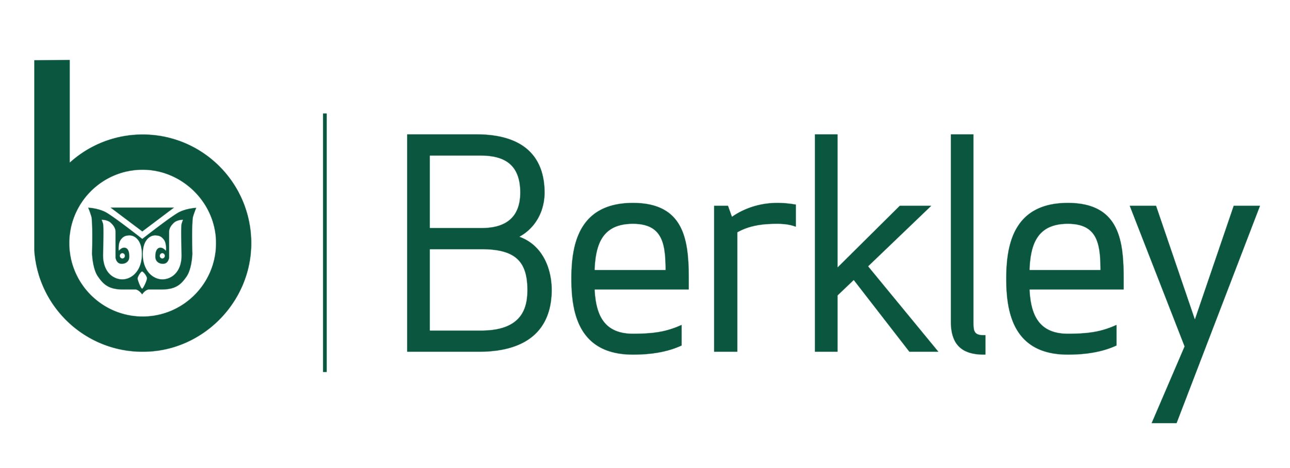 Berkley_logo_hor.PAN343 y cmyk_page-0001
